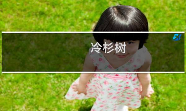 冷杉树