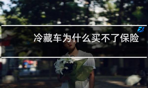 冷藏车为什么买不了保险