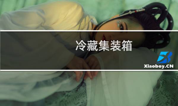 冷藏集装箱图片