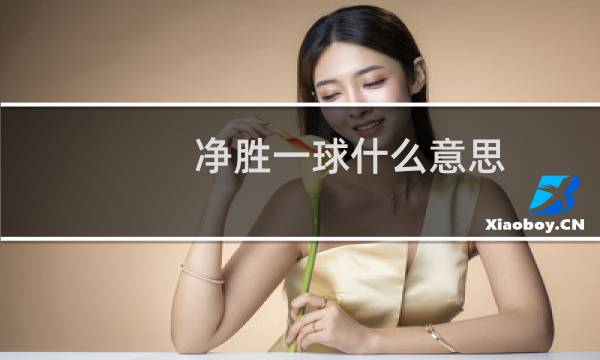 净胜一球什么意思