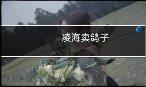 凌海卖鸽子