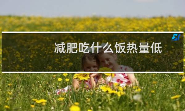 减肥吃什么饭热量低