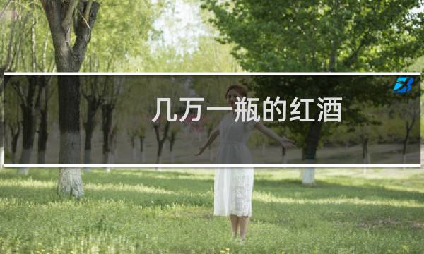 几万一瓶的红酒图片