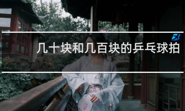 几十块和几百块的乒乓球拍