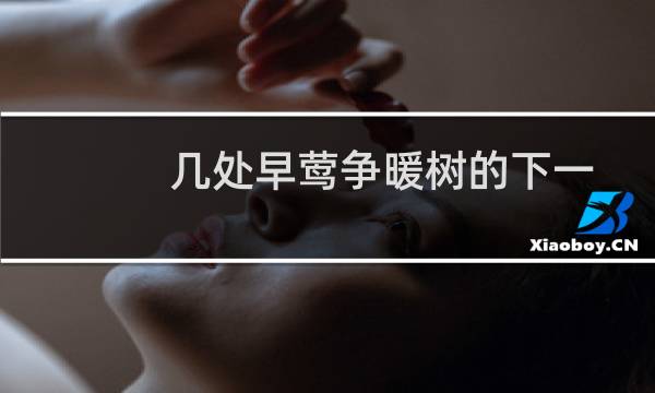 几处早莺争暖树的下一句