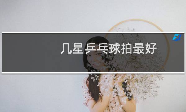 几星乒乓球拍最好