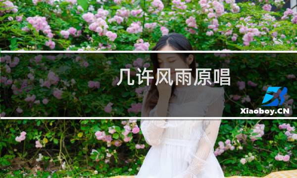 几许风雨原唱（几许风雨）图片