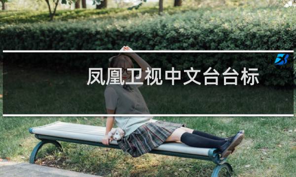 凤凰卫视中文台台标图片