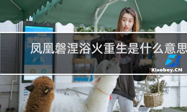 凤凰磐涅浴火重生是什么意思