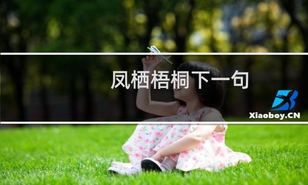 凤栖梧桐下一句（凤栖梧桐下一句是什么）