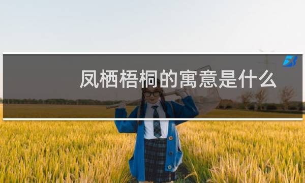 凤栖梧桐的寓意是什么（凤栖梧桐的寓意和意思）图片