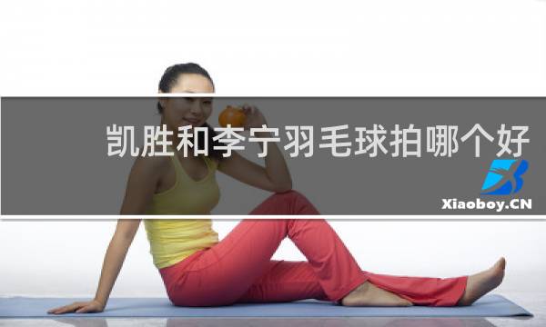 凯胜和李宁羽毛球拍哪个好