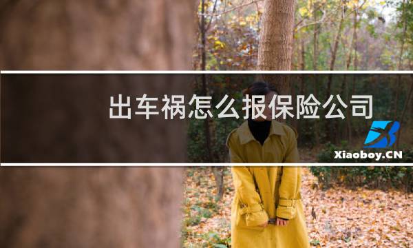 出车祸怎么报保险公司