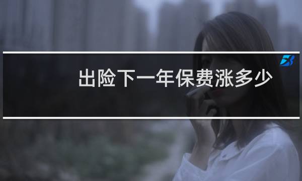 出险下一年保费涨多少
