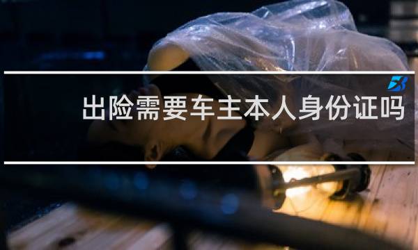 出险需要车主本人身份证吗