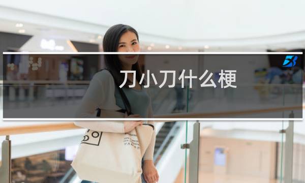 刀小刀什么梗