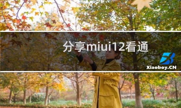 分享miui12看通知消息的方法