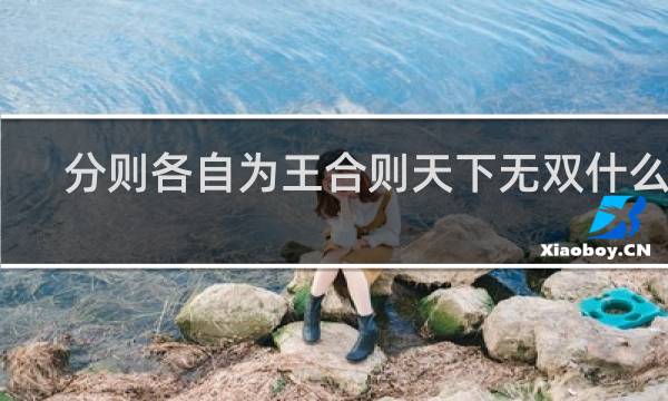 分则各自为王合则天下无双什么梗