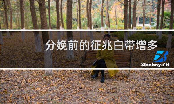 分娩前的征兆白带增多（分娩前的征兆）