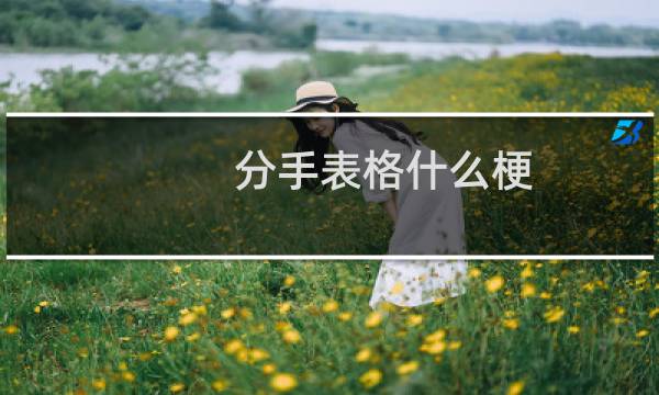 分手表格什么梗