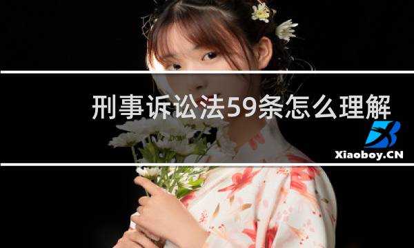 刑事诉讼法59条怎么理解