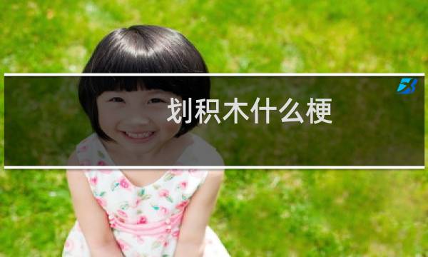 划积木什么梗