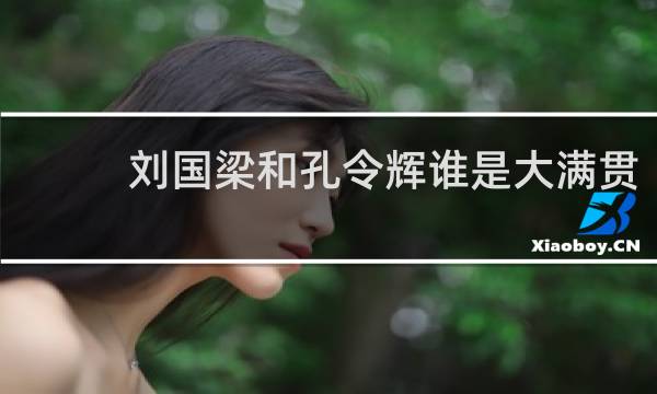刘国梁和孔令辉谁是大满贯