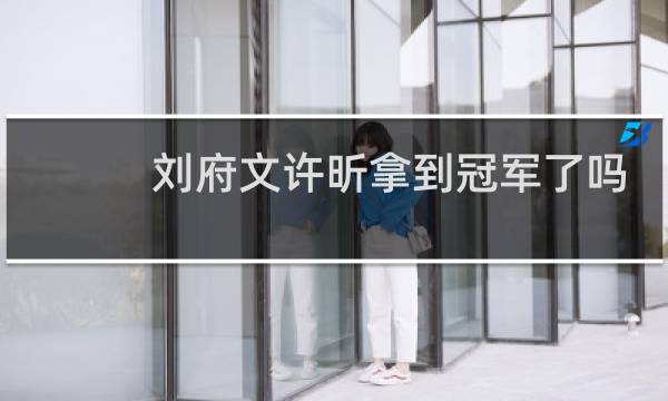 刘府文许昕拿到冠军了吗