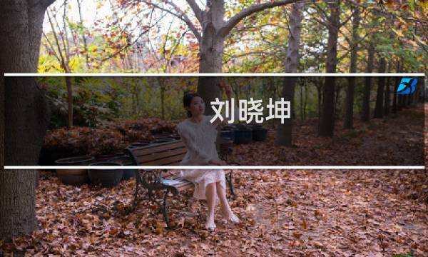刘晓坤(geomen是什么品牌?)