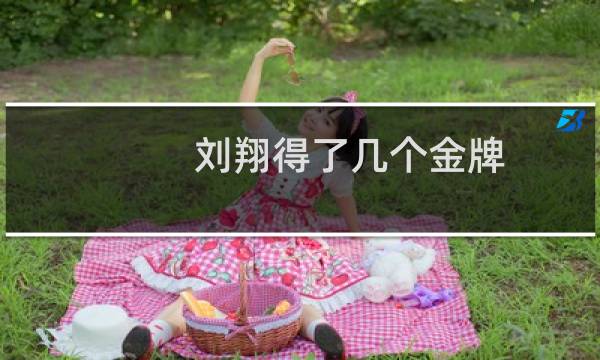 刘翔得了几个金牌