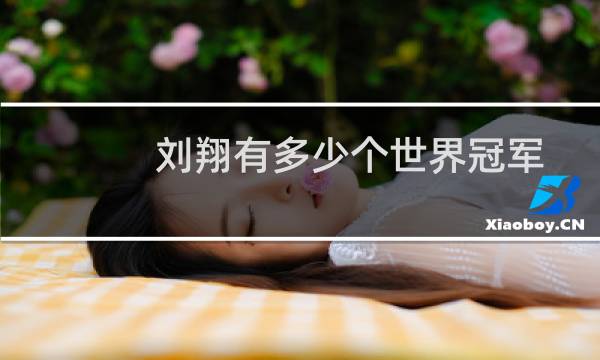 刘翔有多少个世界冠军