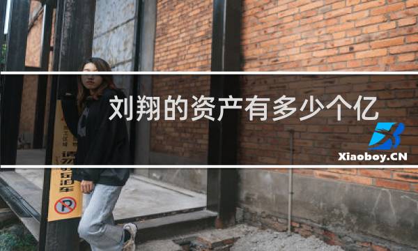 刘翔的资产有多少个亿