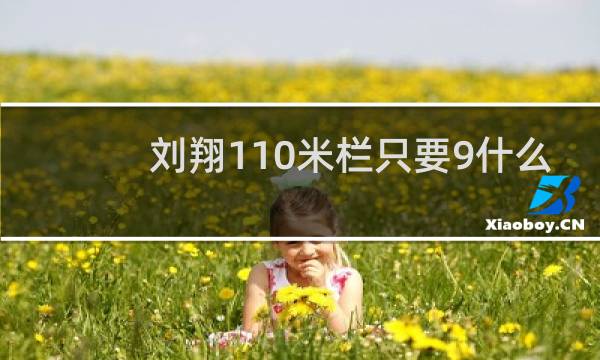 刘翔110米栏只要9什么