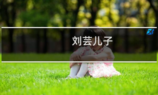 刘芸儿子图片