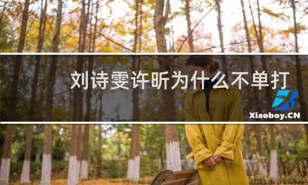 刘诗雯许昕为什么不单打