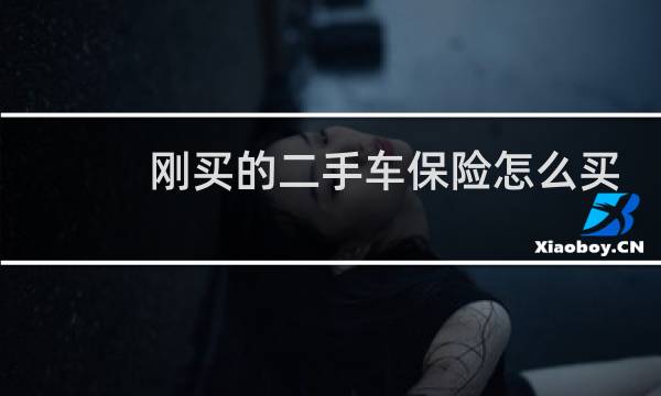 刚买的二手车保险怎么买