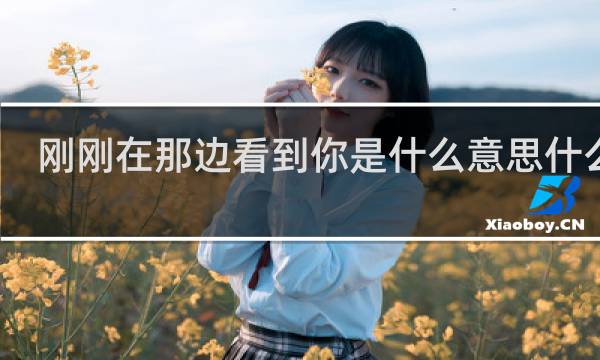 刚刚在那边看到你是什么意思什么梗