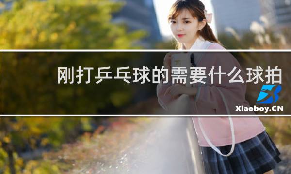 刚打乒乓球的需要什么球拍