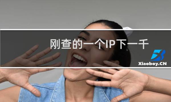 刚查的一个IP下一千多个站点