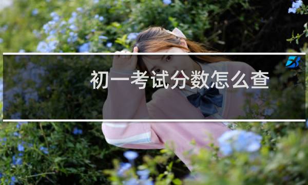 初一考试分数怎么查