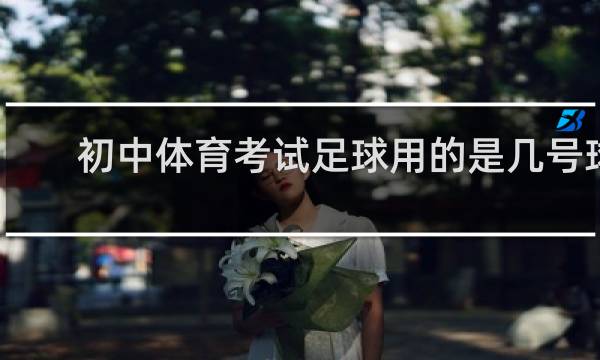 初中体育考试足球用的是几号球