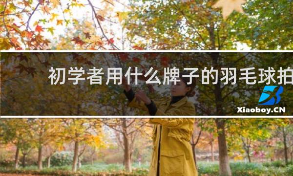 初学者用什么牌子的羽毛球拍