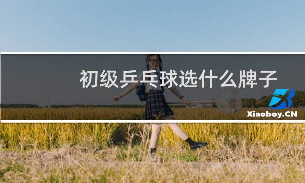 初级乒乓球选什么牌子