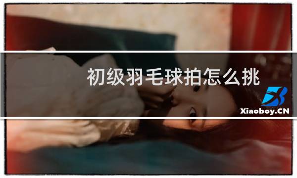 初级羽毛球拍怎么挑
