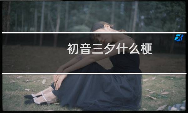 初音三夕什么梗