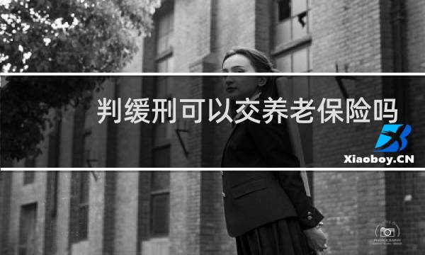 判缓刑可以交养老保险吗