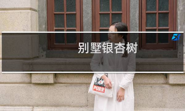 别墅银杏树