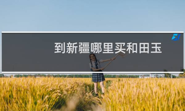 到新疆哪里买和田玉