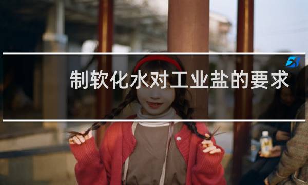 制软化水对工业盐的要求图片