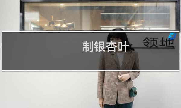 制银杏叶